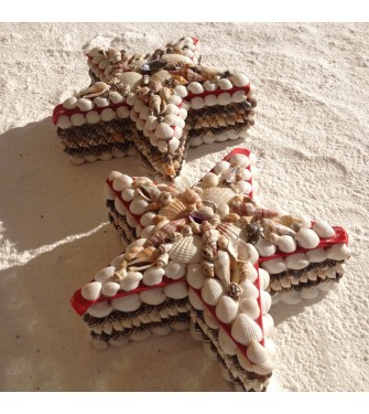 BASKET &Mu;&Iota;&Chi; SEA STAR 6 INCHES