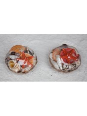 SHELL PACK 4 INCES
