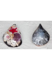 SHELL PACK BLACK PIN