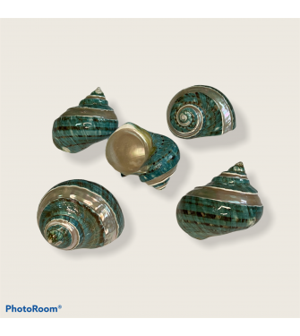 TURBO BOUR BANTET 3.5-4 INCHES