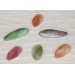 SIAM DIFFERENT COLORS 4.5-5 INCHES
