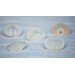 HEART SHELL WHITE 2-2.5 INCHES