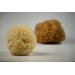 NATURAL GRASS SPONGE A CLASS NATURAL COLOR