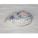 ABALONE MIDAI NATURAL 