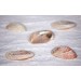 ABALONE MIDAI POLISHED