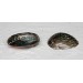 ABALONE FULL PERLE