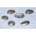 ABALONE FULL PERLE 3.5-4