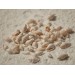 NASSA WHITE 0.5 INCH