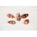 KONOUS GEOGRAFOUS 3-3.5 INCHES