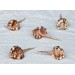 MIOUREX AOUSTELIAM LARGE 3.5 INCH