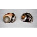 &Tau;&Omicron;&Upsilon;&Rho;&Mu;&Pi;&Omicron; &Sigma;&Alpha;&Rho;&Mu;. 3,5-4 &Alpha; &Iota;&Nu;&Tau;&Sigma;&Epsilon;&Sigma;