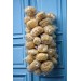 NATURAL GRASS SPONGE B CLASS NATURAL COLOR 3,5-4 Inch