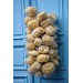 NATURAL GRASS SPONGE B CLASS NATURAL COLOR 3,5-4 Inch