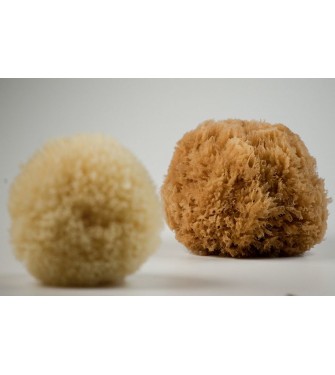 NATURAL GRASS SPONGE B BLEACHED PACKED