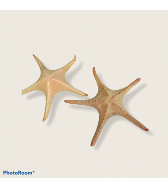 STARFISH