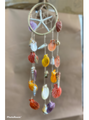 SHELL CURTAIN STAR FISH DREAM CATCHER