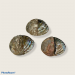 ABALONE MIDAI COLOURED 2.5-3