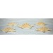 STARFISH FILIP 3-4 INCHES