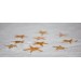 STARFISH FLAT 1-2 INCHES