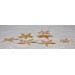 STARFISH FLAT 3-4 INCHES
