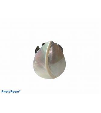 SHELL RINGS