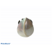 SHELL RINGS