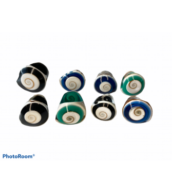 SHELL RINGS