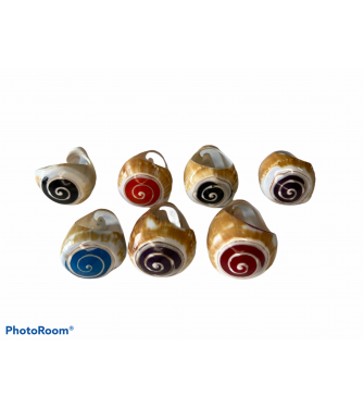 SHELL RINGS