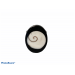 SHELL RINGS