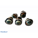 SHELL RINGS