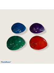 ABALONE MIDAE COLOURED 5.5 INCHES