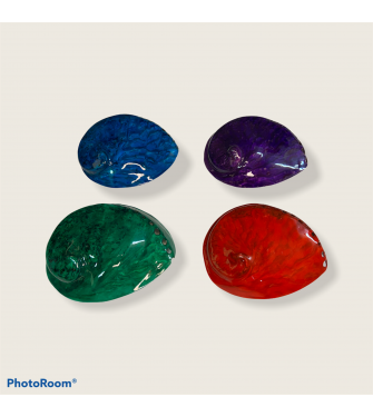 ABALONE MIDAI COLOURED 2.5-3