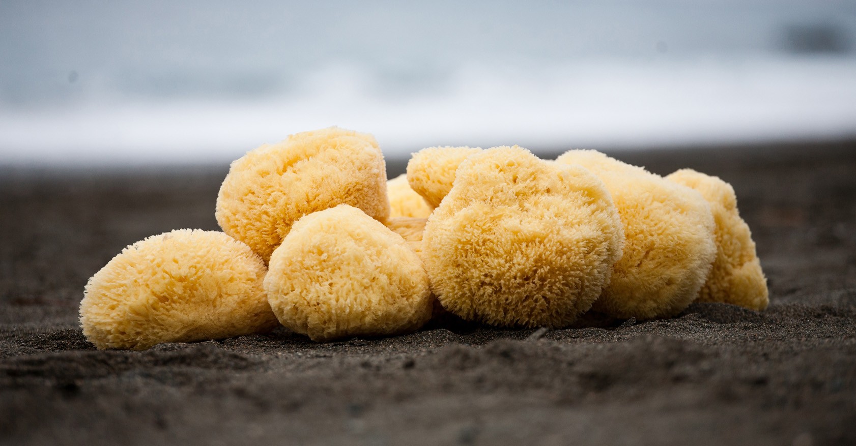 Natural sponges